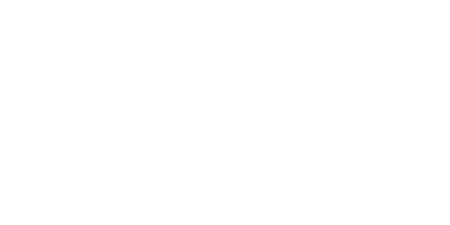 NP Surf logo
